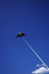 Similar image 1571134