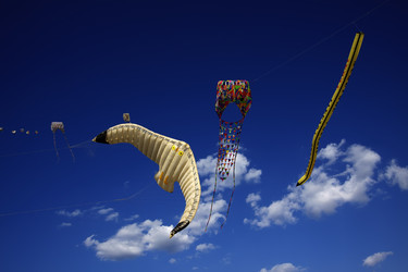 Similar image 1571135