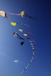 Similar image 1571146