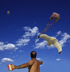 Similar image 1571148