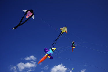 Similar image 1571152