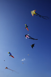 Similar image 1571154