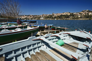 Similar image 1571341