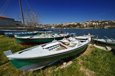 Similar image 1571345