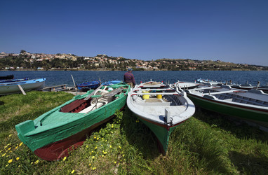 Similar image 1571346