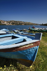 Similar image 1571354