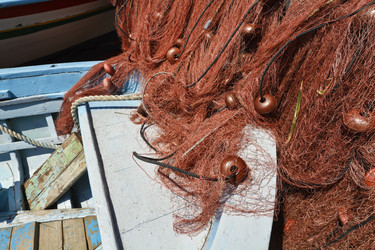 Similar image 1571381