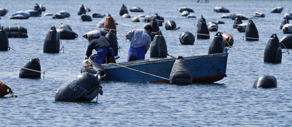 Similar image 1571399