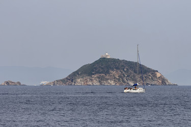 Similar image 1571415