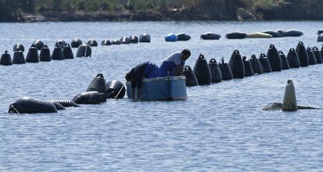 Similar image 1571424