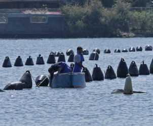 Similar image 1571446