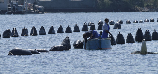 Similar image 1571451