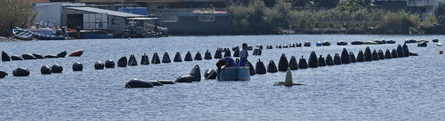 Similar image 1571452