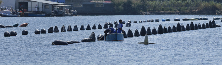 Similar image 1571454