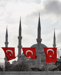 Similar image 1571519