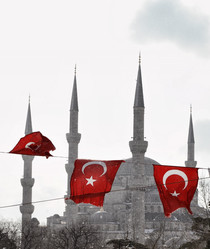 Similar image 1571534