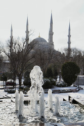 Similar image 1571536