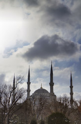 Similar image 1571537