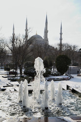 Similar image 1571549