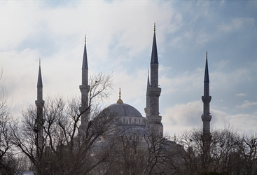 Similar image 1571553