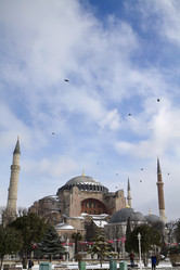 Similar image 1571555