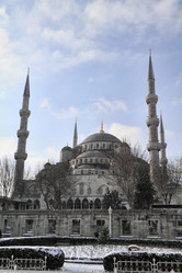 Similar image 1571706