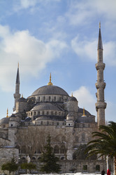 Similar image 1571711