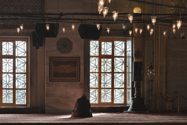 Similar image 1571804