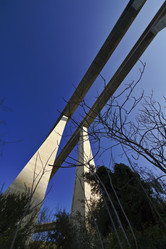 Similar image 1571855