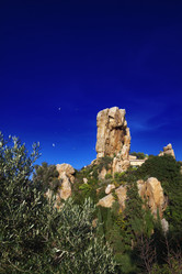 Similar image 1571857