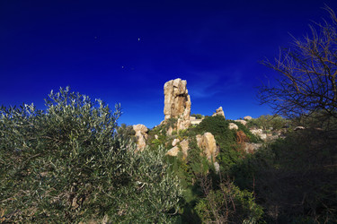 Similar image 1571859