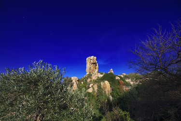 Similar image 1571860