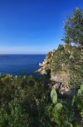 Similar image 1571863