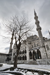 Similar image 1571864