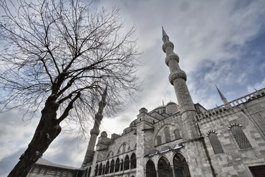 Similar image 1571865