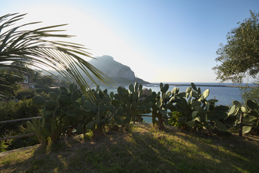 Similar image 1571874