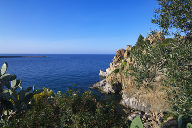 Similar image 1571875