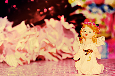 Similar image 1572021