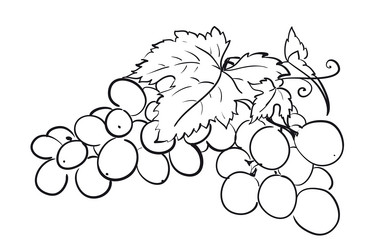 Similar image 1572134