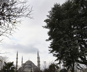 Similar image 1572210