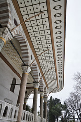 Similar image 1572219