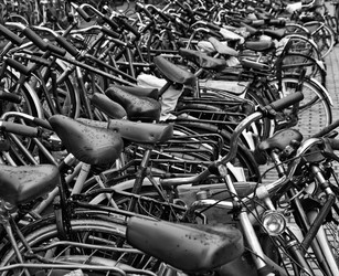 Similar image 1572401