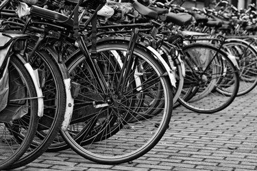 Similar image 1572431