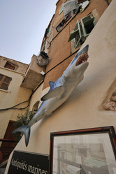 Similar image 1572450