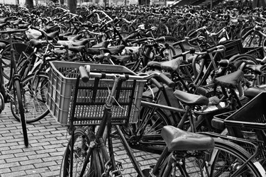 Similar image 1572453