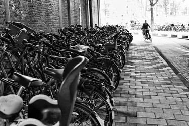 Similar image 1572457