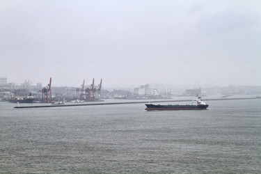 Similar image 1572459