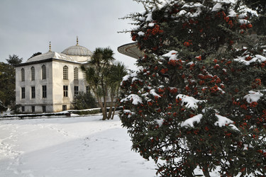 Similar image 1572473