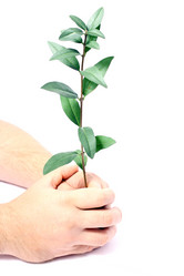 Similar image 1572496