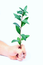 Similar image 1572498